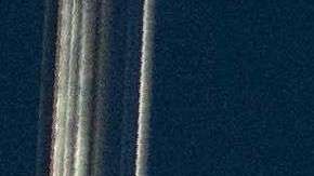 Trump celebra su primer año de gobierno dejando a miles de inmigrantes en el limbo migratorio