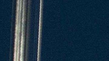 Trump celebra su primer año de gobierno dejando a miles de inmigrantes en el limbo migratorio