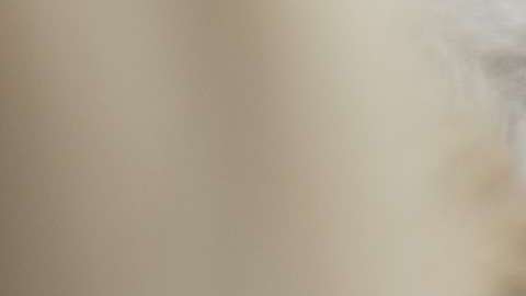 El presidente Trump visitó Utah el lunes.