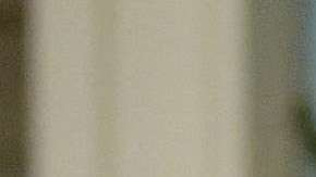 El presidente Trump estuvo acompañado del vicepresidente Mike Pence.