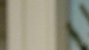 El presidente Trump estuvo acompañado del vicepresidente Mike Pence.