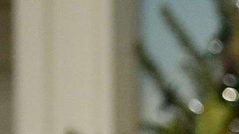 El presidente Trump estuvo acompañado del vicepresidente Mike Pence.