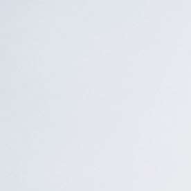 Un alto porcentaje de los centroamericanos está protegido por TPS.