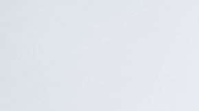 Un alto porcentaje de los centroamericanos está protegido por TPS.