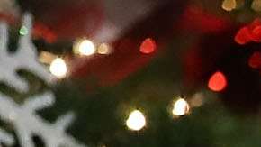 La primera dijo que su deseo es pasar Navidad en una isla desierta alejada de todo