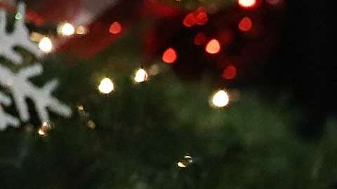 La primera dijo que su deseo es pasar Navidad en una isla desierta alejada de todo