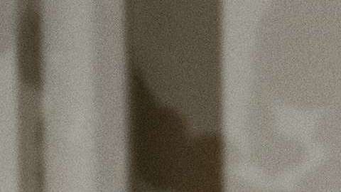 El presidente Trump y su yerno se ahorrarán millones de dólares con reforma tributaria.