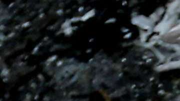 La decisión de Trump de reconocer a Jerusalem como capital de Israel llevó a la cancelación