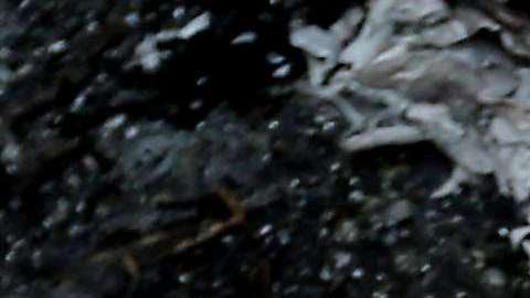 La decisión de Trump de reconocer a Jerusalem como capital de Israel llevó a la cancelación