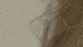 El presidente Trump urge a modificar el sistema migratorio.