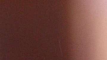 Maria Conchita Alonso.