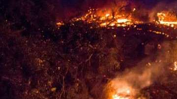 Las llaman consumen la zona sur de California.