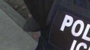 ICE confirmó la detención de "Rosas".