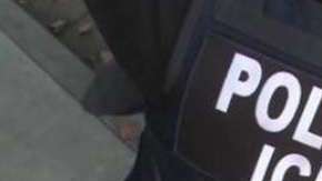 ICE podría detener a una persona en su auto.