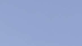 El defensa español Alejandro Arribas llegó a Pumas UNAM