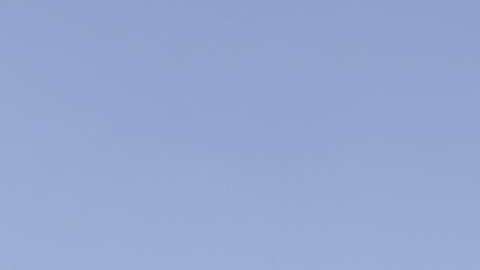 El defensa español Alejandro Arribas llegó a Pumas UNAM