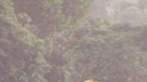 Dwayne Johnson estrena Jumanji: Bienvenidos a la jungla