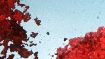 Una erupción podría poner en riesgo algunos sitios del país.