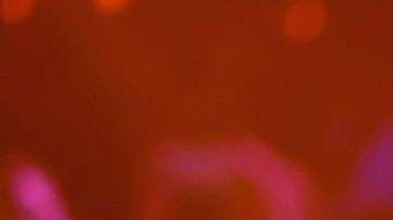 Maluma, una de las estrellas musicales del momento.