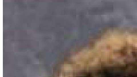 Las víctimas menores del crimen, Jeremiah y  Shanise Myers (de 11 y 5 años, respectivamente).