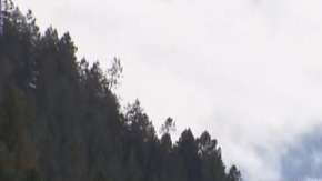 Un jubilado pierde diez mil dólares en Aspen, Colorado.