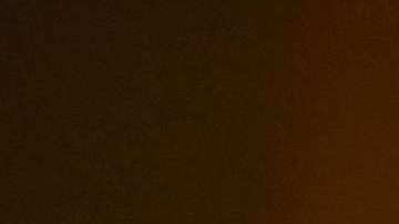 Según las características de cada signo, así también la bebida que más le favorece.