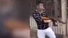 El individuo le disparó al animal en la cabeza.