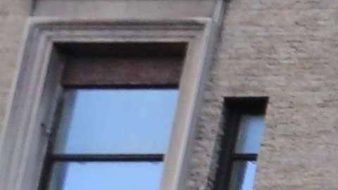 El sistema de suministro de agua caliente del hotel tuvo que ser desinfectado.