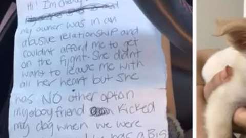 La mujer dejó una nota junto al cachorro.