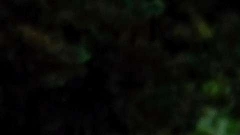 Algo le sucede a tu organismo mucho antes de que mueras y es un importante aviso.