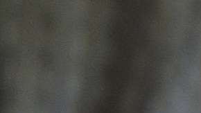 Con Files Go podrás encontrar archivos fácilmente y podrás compartir archivos sin la necesidad de utilizar datos.