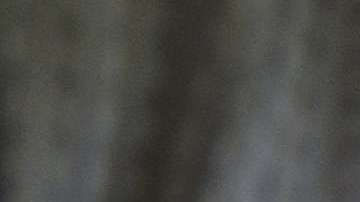 Con Files Go podrás encontrar archivos fácilmente y podrás compartir archivos sin la necesidad de utilizar datos.