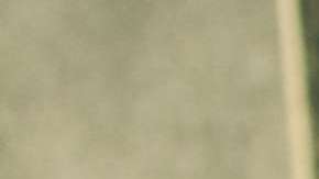 En promedio, tardamos 10 minutos eligiendo cómo nos vestiremos para ir a trabajar.