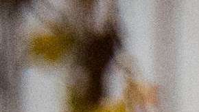 Tenga mucho cuidado con las velas encendidas y las decoraciones navideñas en el hogar para evitar un incendio.