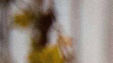 Tenga mucho cuidado con las velas encendidas y las decoraciones navideñas en el hogar para evitar un incendio.