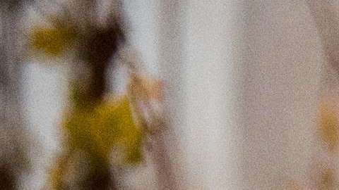 Tenga mucho cuidado con las velas encendidas y las decoraciones navideñas en el hogar para evitar un incendio.