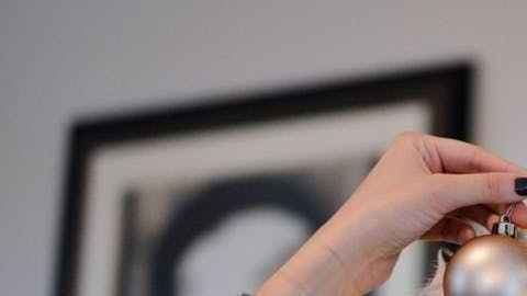 Miles y miles de pequeños insectos están ahí, en tu pino navideño.