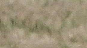 Shakira y Piqué, siempre bajo el escrutinio público.