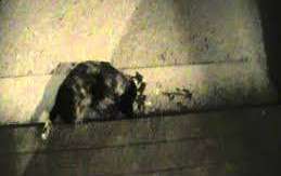 El placer de sentir algo por primera vez es algo que no se puede recuperar una vez sucede.