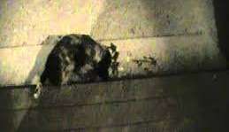 El placer de sentir algo por primera vez es algo que no se puede recuperar una vez sucede.