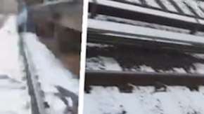 La escena fue grabada en la Avenida H.