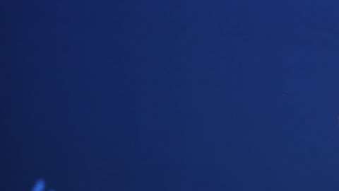 Ricky Martin cumple hoy 46 años.