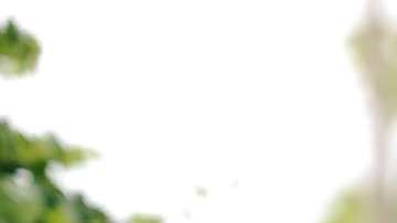 Ana Belena protagoniza la telenovela "Sangre de mi Tierra"