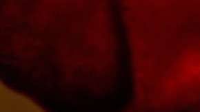 Galletitas navideñas no pueden faltar.