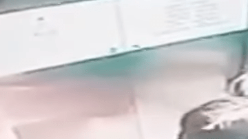 Screen Shot 2017-12-12 at 4.21.54 PM