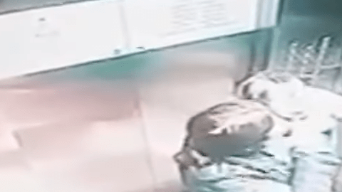 Screen Shot 2017-12-12 at 4.21.54 PM