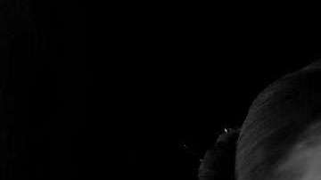 Selena Gomez ha tenido un 2017 muy particular.