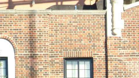 Los arrestos en Show Palace están vinculados a prostitución.