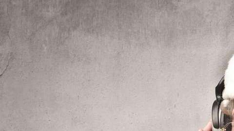 Quienes están expuestos por horas a la música navideña, tienen problemas de concentración.