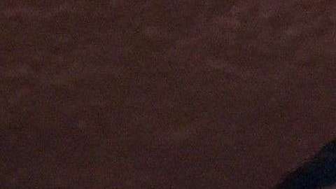 Rob Schneider es un ferviente seguidor de Tigres